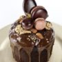 tort-3
